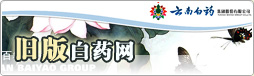 链接到旧网站